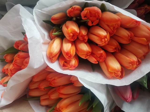 Магазин Калинка принимает заявки на тюльпаны